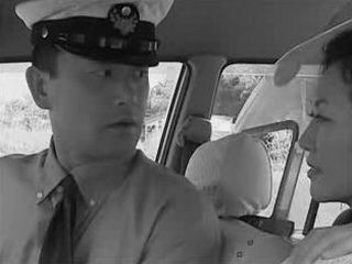 Fucking a Nippon Bitch in Tokyo - A XXX Cab Driver's Fantasy Come True