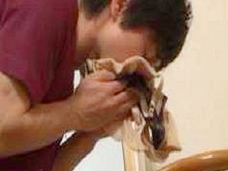 Japanese Boy Sniffs Panties and Gets Caught by Sis, XXX Excitement Ensues!